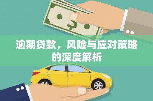 石龙逾期贷款，风险与应对策略的深度解析