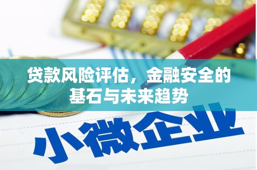 石龙贷款风险评估，金融安全的基石与未来趋势
