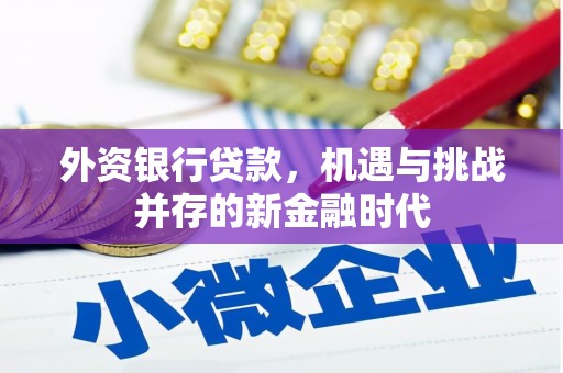 石龙外资银行贷款，机遇与挑战并存的新金融时代