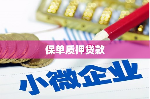 石龙保单质押贷款
