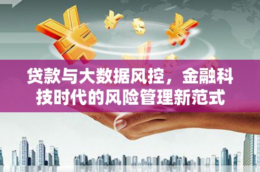 石龙贷款与大数据风控，金融科技时代的风险管理新范式
