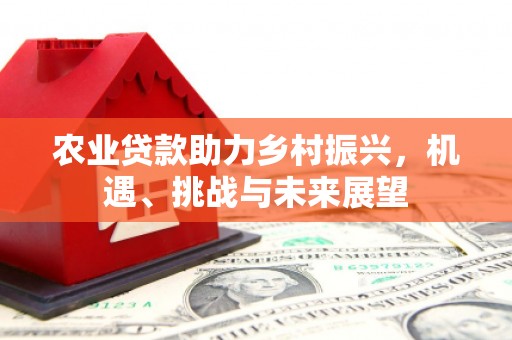 石龙农业贷款助力乡村振兴，机遇、挑战与未来展望