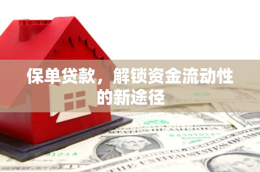 石龙保单贷款，解锁资金流动性的新途径