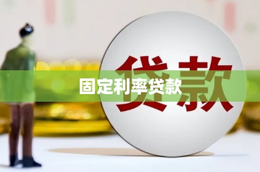 石龙固定利率贷款