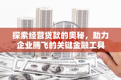 石龙探索经营贷款的奥秘，助力企业腾飞的关键金融工具
