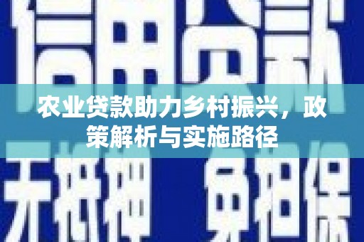 石龙农业贷款助力乡村振兴，政策解析与实施路径