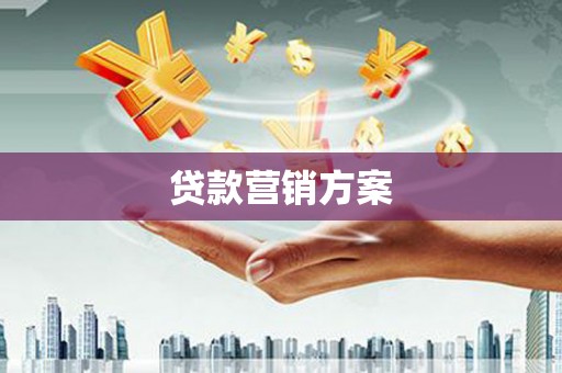 石龙贷款营销方案