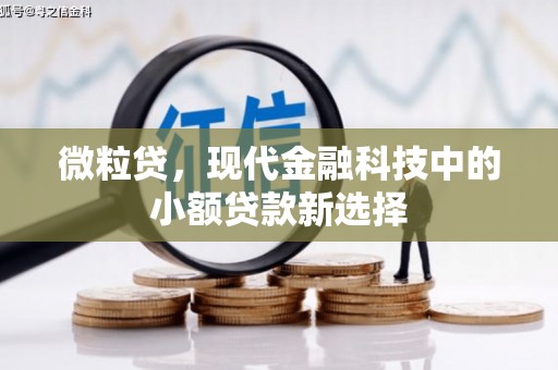 石龙微粒贷，现代金融科技中的小额贷款新选择