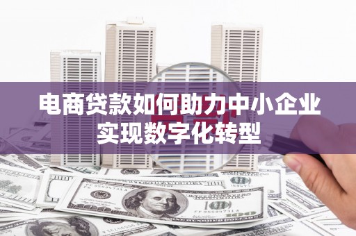 石龙电商贷款如何助力中小企业实现数字化转型