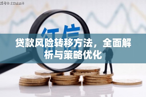 石龙贷款风险转移方法，全面解析与策略优化