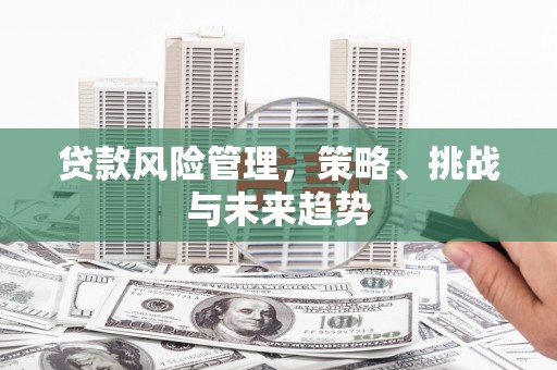 石龙贷款风险管理，策略、挑战与未来趋势