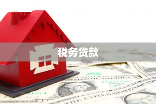 石龙税务贷款