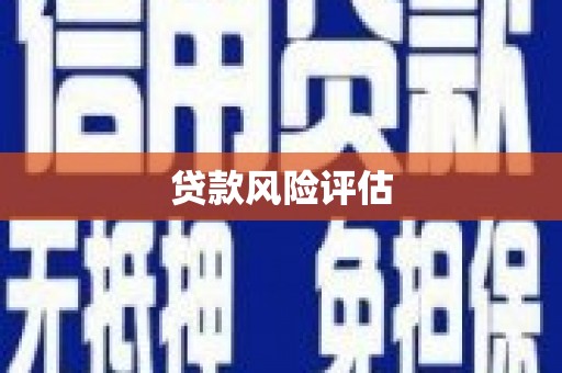 石龙贷款风险评估