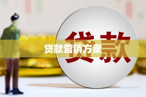 石龙贷款营销方案