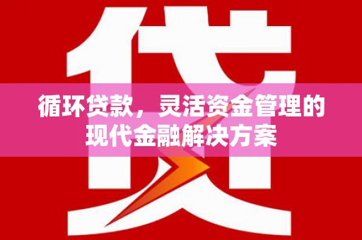 石龙循环贷款，灵活资金管理的现代金融解决方案