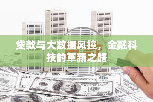 石龙贷款与大数据风控，金融科技的革新之路