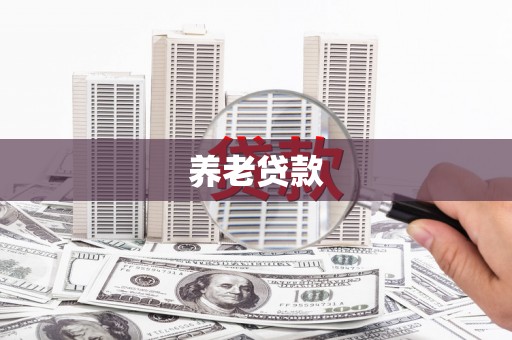 石龙养老贷款