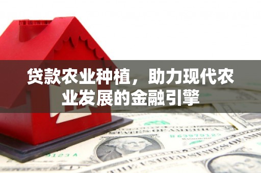 石龙贷款农业种植，助力现代农业发展的金融引擎