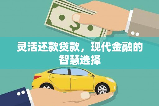 石龙灵活还款贷款，现代金融的智慧选择