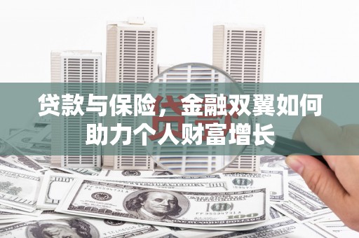 石龙贷款与保险，金融双翼如何助力个人财富增长