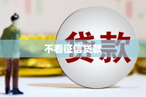 石龙不看征信贷款