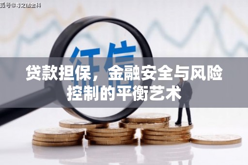 石龙贷款担保，金融安全与风险控制的平衡艺术