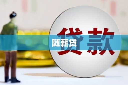 石龙随薪贷
