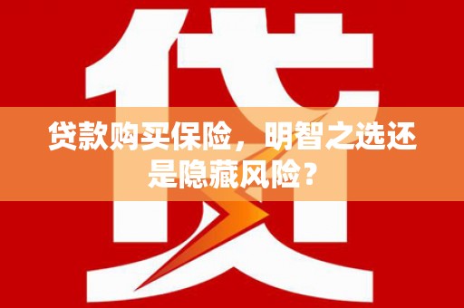 石龙贷款购买保险，明智之选还是隐藏风险？