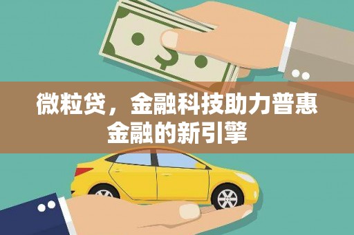 石龙微粒贷，金融科技助力普惠金融的新引擎