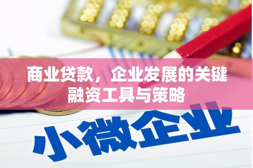 石龙商业贷款，企业发展的关键融资工具与策略