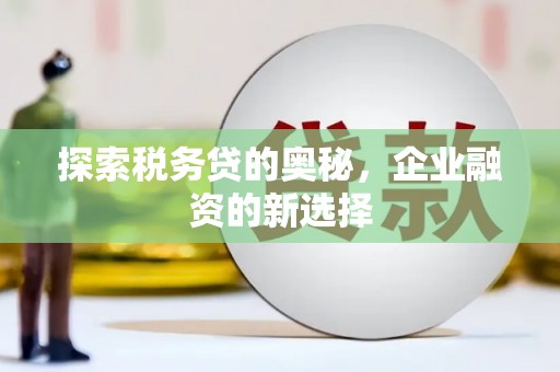 石龙探索税务贷的奥秘，企业融资的新选择