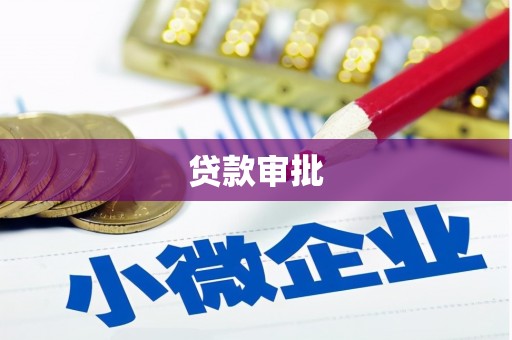 石龙贷款审批