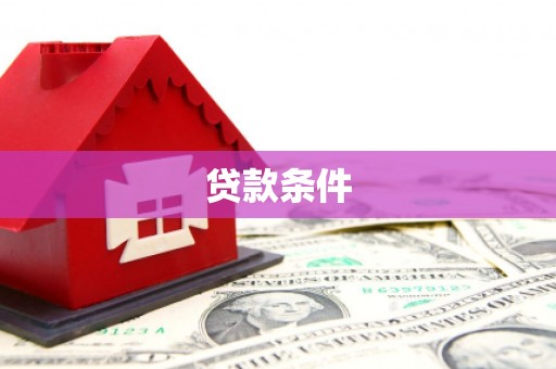 石龙贷款条件