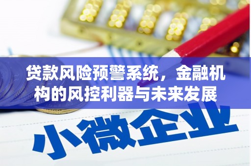 石龙贷款风险预警系统，金融机构的风控利器与未来发展