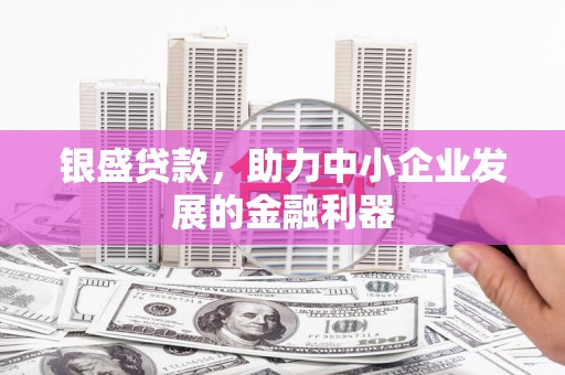 石龙银盛贷款，助力中小企业发展的金融利器