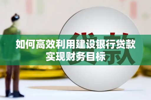 石龙如何高效利用建设银行贷款实现财务目标