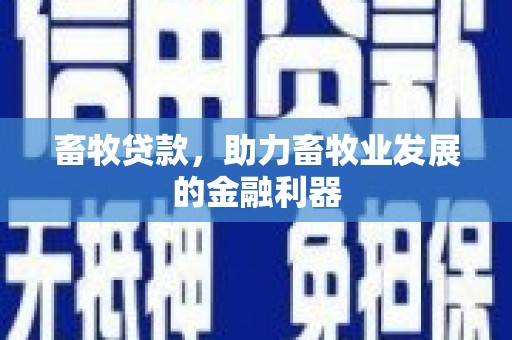石龙畜牧贷款，助力畜牧业发展的金融利器