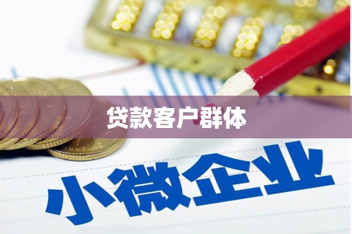 石龙贷款客户群体