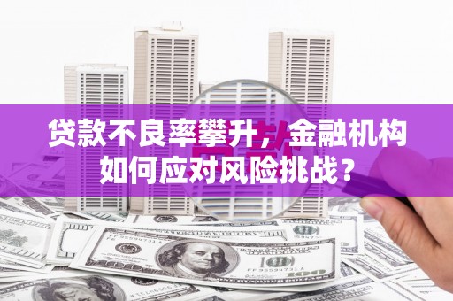 石龙贷款不良率攀升，金融机构如何应对风险挑战？