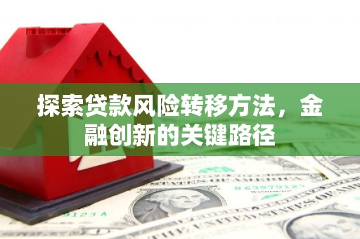 石龙探索贷款风险转移方法，金融创新的关键路径