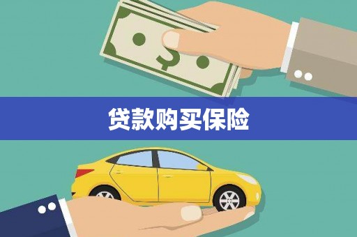 石龙贷款购买保险