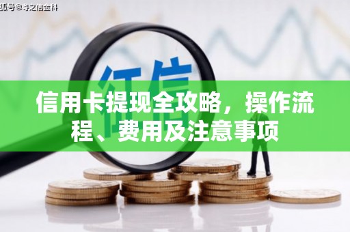 石龙信用卡提现全攻略，操作流程、费用及注意事项