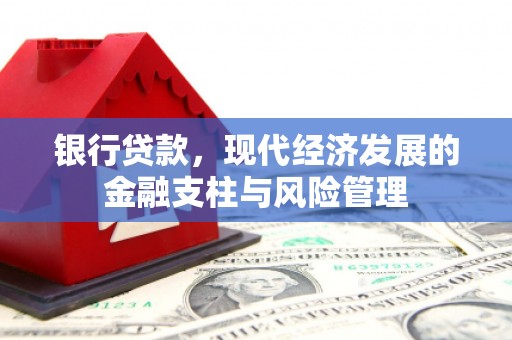 石龙银行贷款，现代经济发展的金融支柱与风险管理