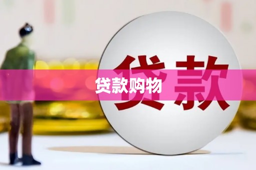 石龙贷款购物