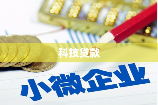 石龙科技贷款