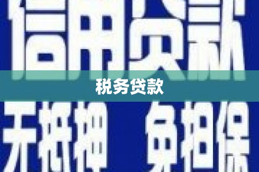 石龙税务贷款