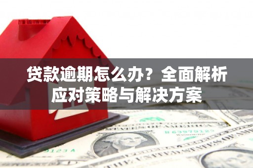 石龙贷款逾期怎么办？全面解析应对策略与解决方案
