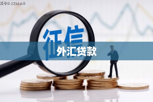 石龙外汇贷款