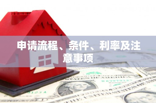 石龙申请流程、条件、利率及注意事项