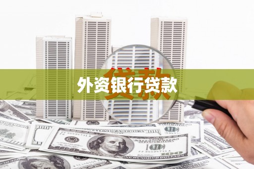 石龙外资银行贷款